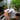 How to Boost Humidity for Your Houseplants: Tips for Healthy Growth During the Dry Season