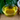Cute Farms What Is Neem Oil for Plants and How to Use It Effectively