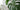 Indoor Potted Exotic Flower and Tropical Plant Care Guide