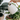 Why Your Plants Need a Tap Water Conditioner