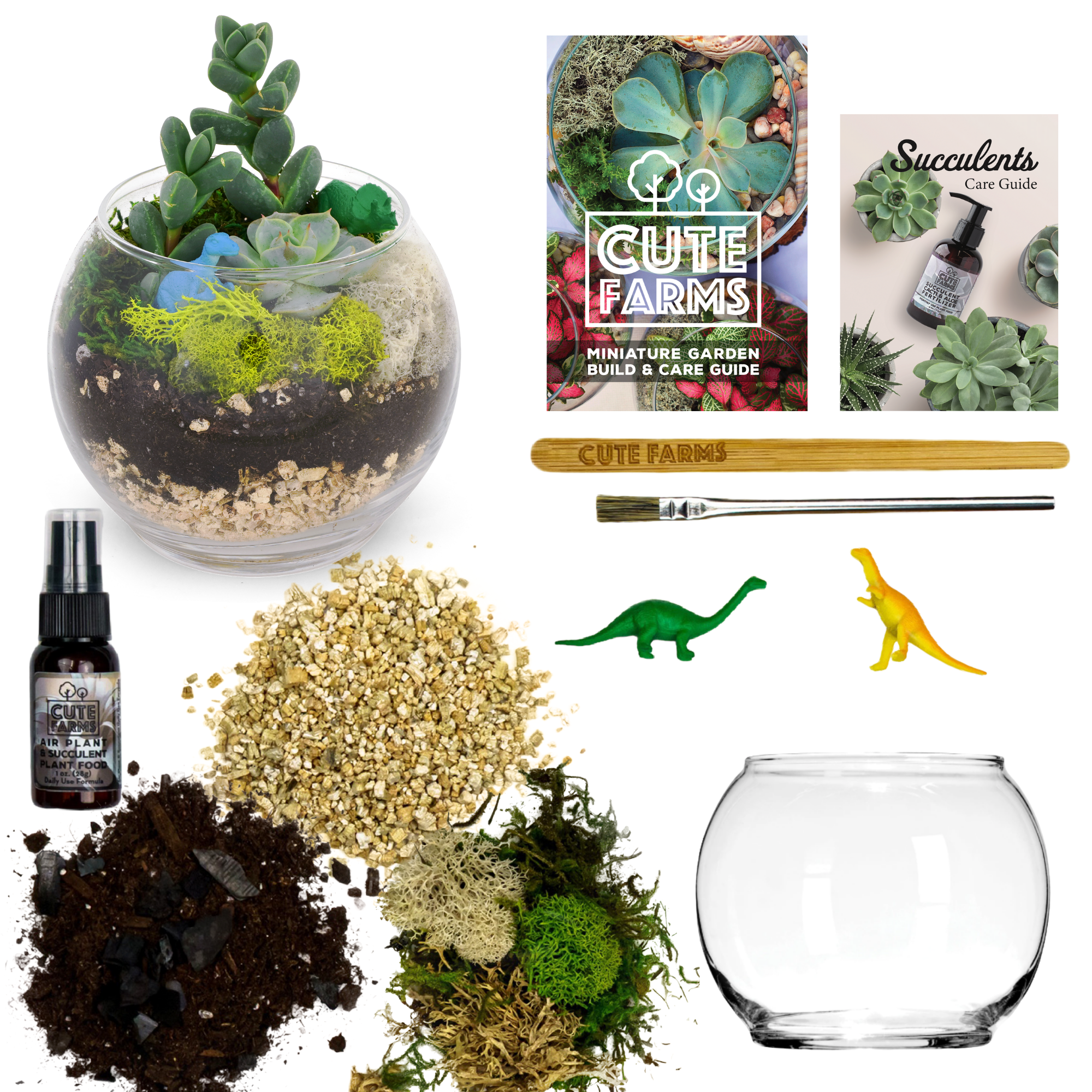 air plant and succulent terrarium Terrarium Starter Kit + Glass Bowl 5 Air Plants / 2 Succulents
