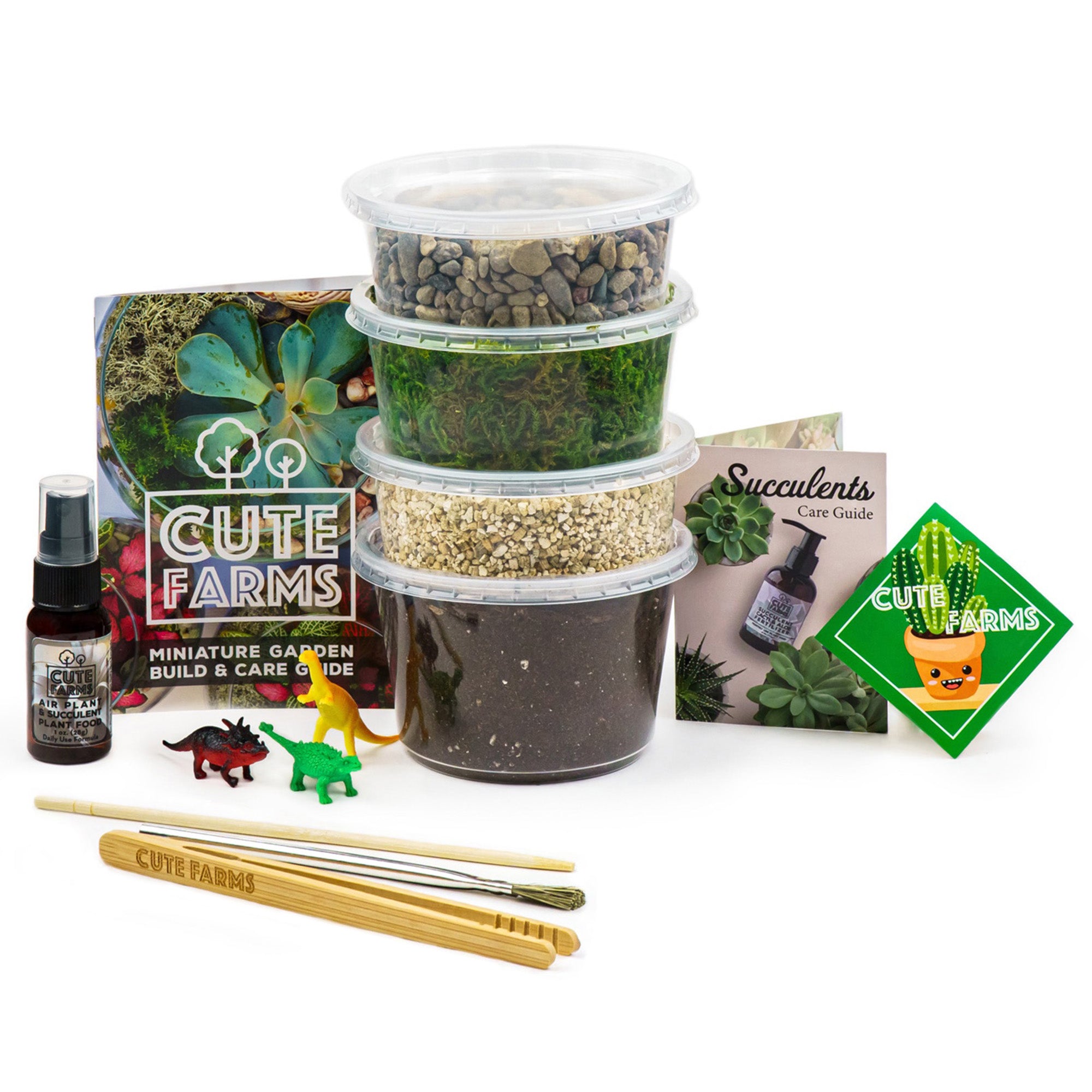 air plant starter kit Medium Terrarium Starter Kit 3 Air Plants / 2 Succulents
