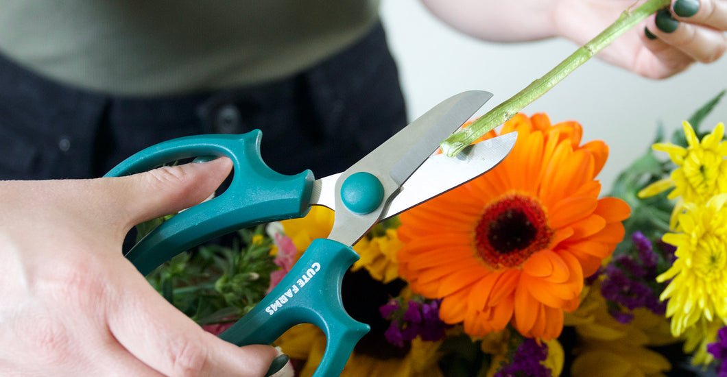 Fresh Cut Flowers: Expert Tips and Premium Scissors for Stunning Floral ...