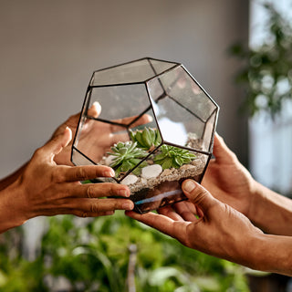 Complete Guide: Hosting a Terrarium-Making Party for Friends and Family - DIY Tips, Ideas, and Best Practices