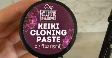 Grow New Offshoots Right from Your Plant with Keiki Cloning Paste
