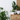The 10 Best Indoor Plants for Beginners