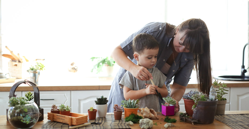 6 Benefits of Creating Terrariums with Kids Why it's a Great Idea for