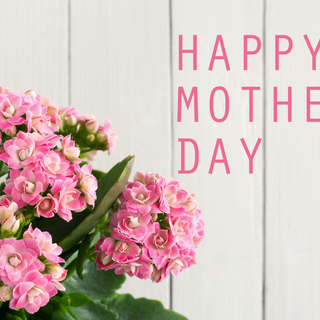 The Best Mother’s Day Gifts for Moms Who Love Nature & Plants