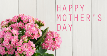 The Best Mother’s Day Gifts for Moms Who Love Nature & Plants