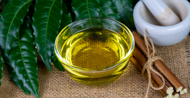 What Is Neem Oil for Plants and How to Use It Effectively