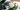 Why Your Plants Need a Tap Water Conditioner