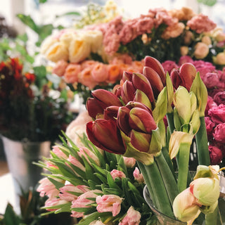 Fresh Cut Flowers: Enhancing Mood, Adding Beauty, and Supporting Local Businesses