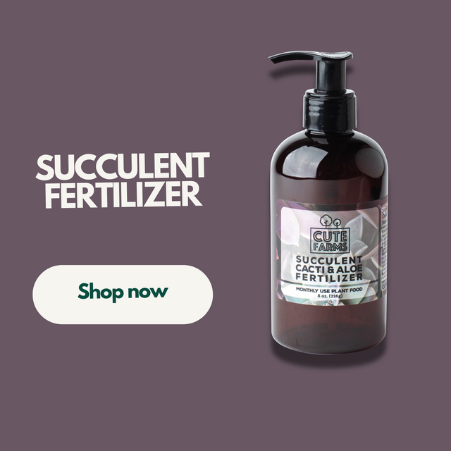 Best Plant Food & Terrarium Kits Cute Farms