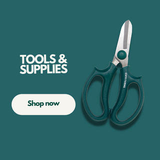 Tools & Supplies