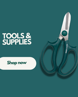 Tools & Supplies
