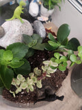Customer photo