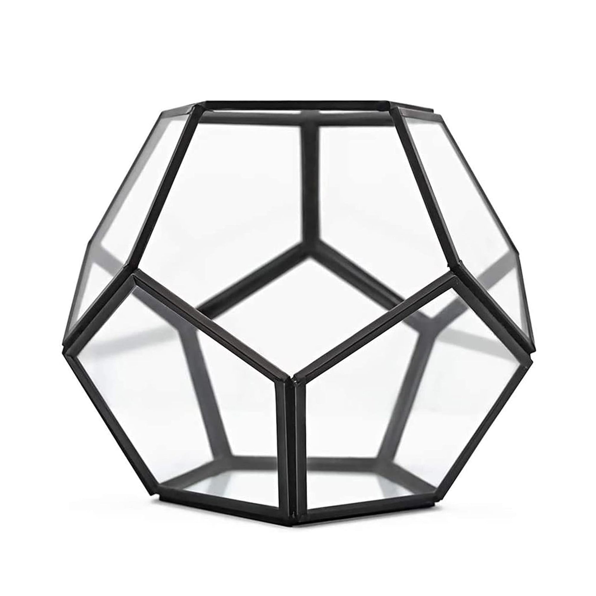 Geometric Terrarium Glass