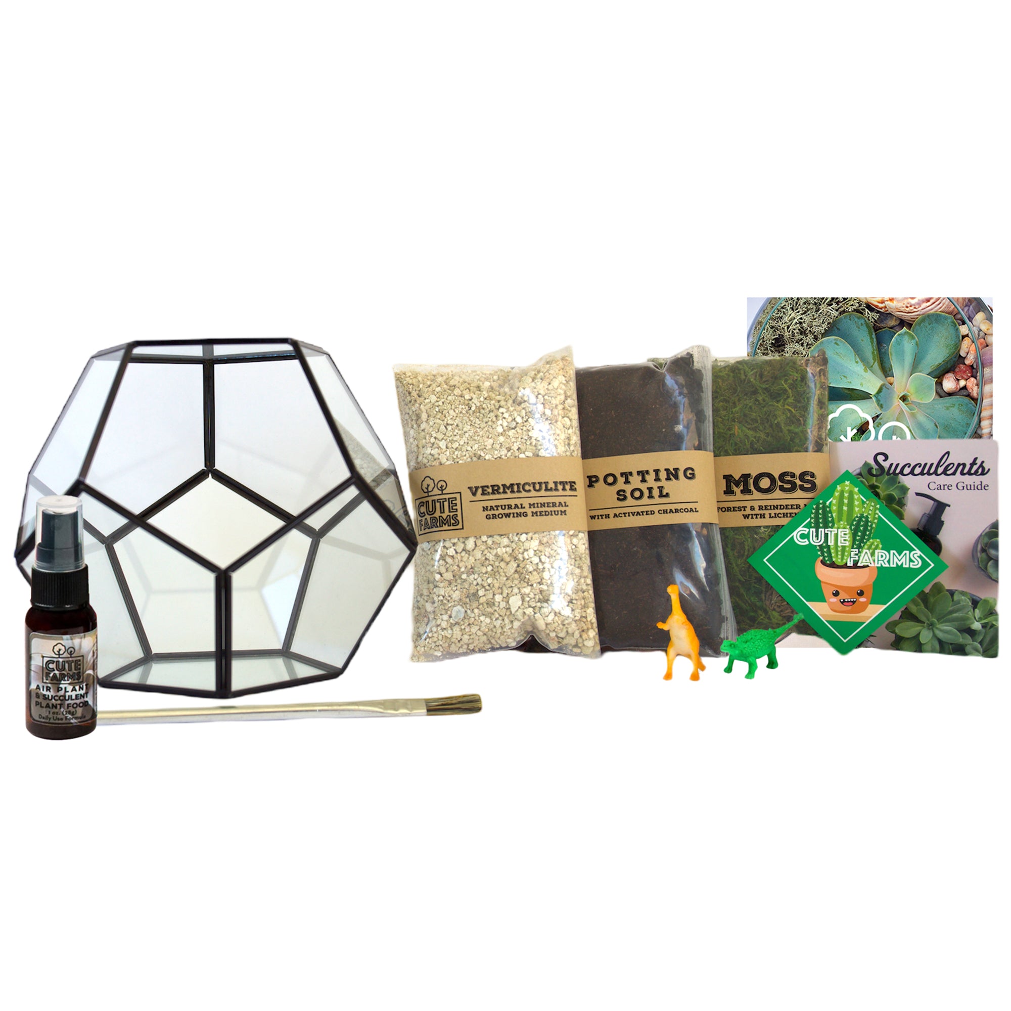 Kit de terrarium géométrique Plantsome