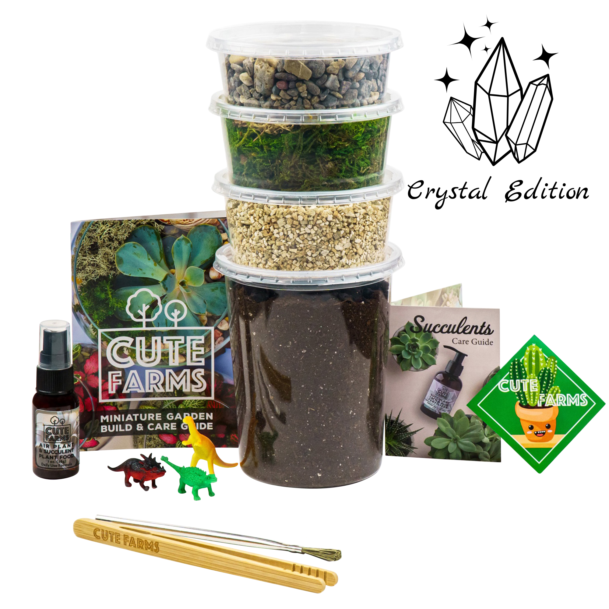 Large Terrarium Starter Kit - Crystal Edition