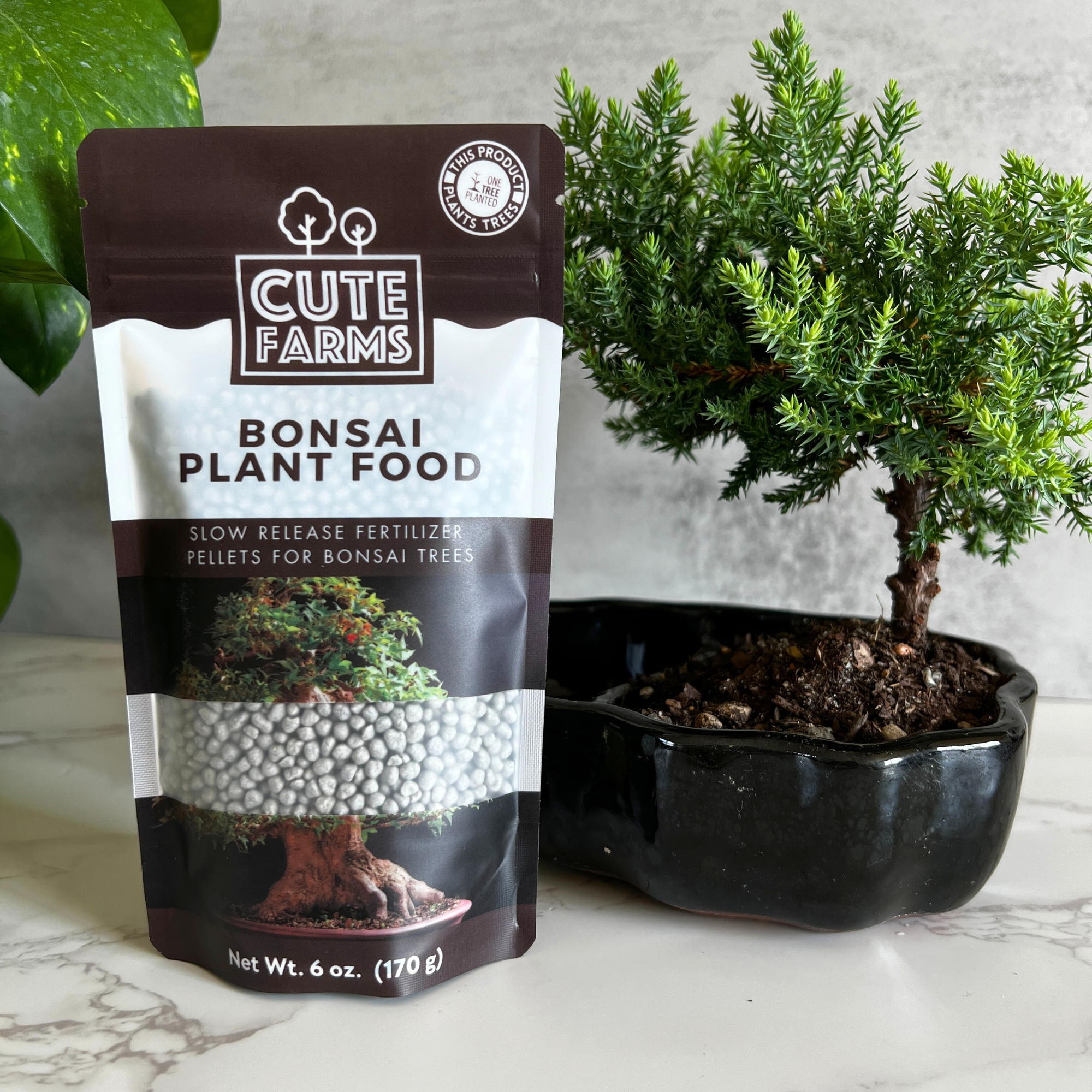 Bonsai Slow Release Plant Food