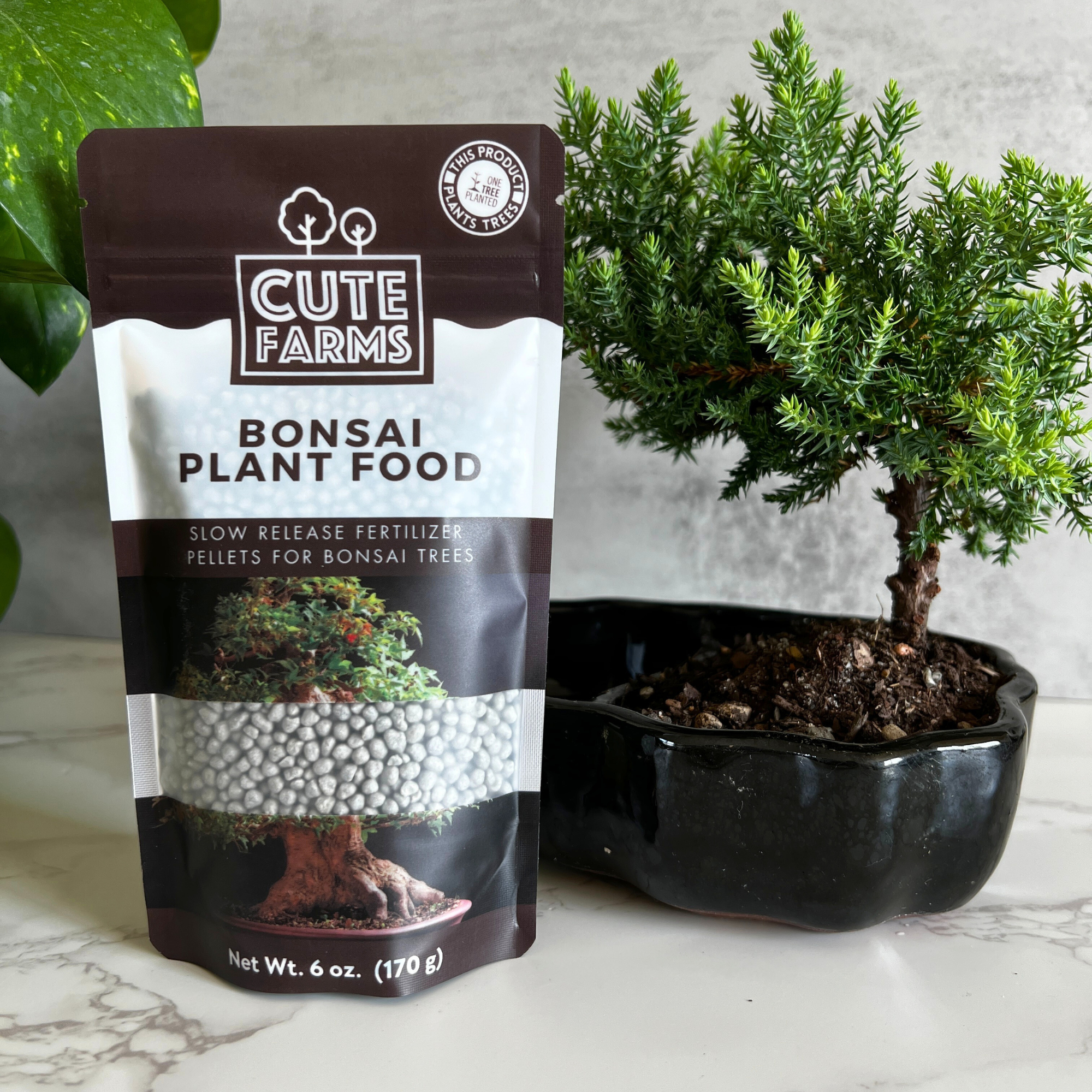 bonsai tree feed Cute Farms Bonsai Slow Release Fertilizer Pellets for Indoor and Outdoor Plants (6 oz) Resealable Bag