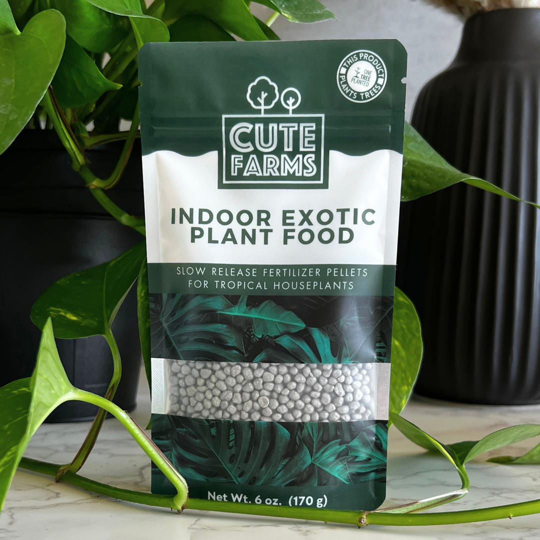 Indoor Exotic Slow Release Plant Food