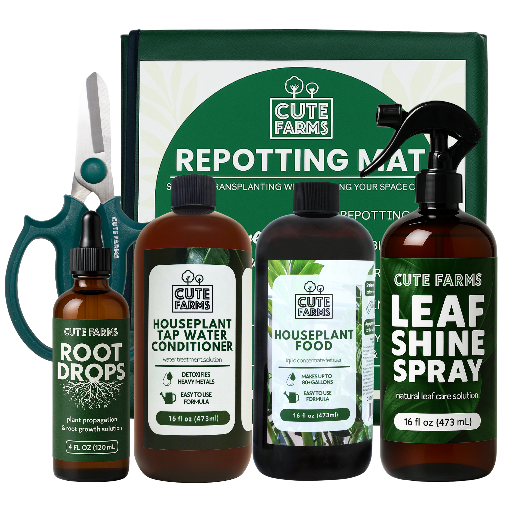 Indoor Glow & Care Plant Kit