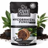 Mycorrhizal Fungi – Root Booster for Stronger, Healthier Plants