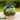 Cute Farms DIY Terrarium Kit with Glass Bowl
