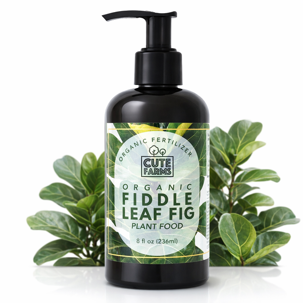 Organic Fiddle Leaf Fig Plant Food – Cute Farms