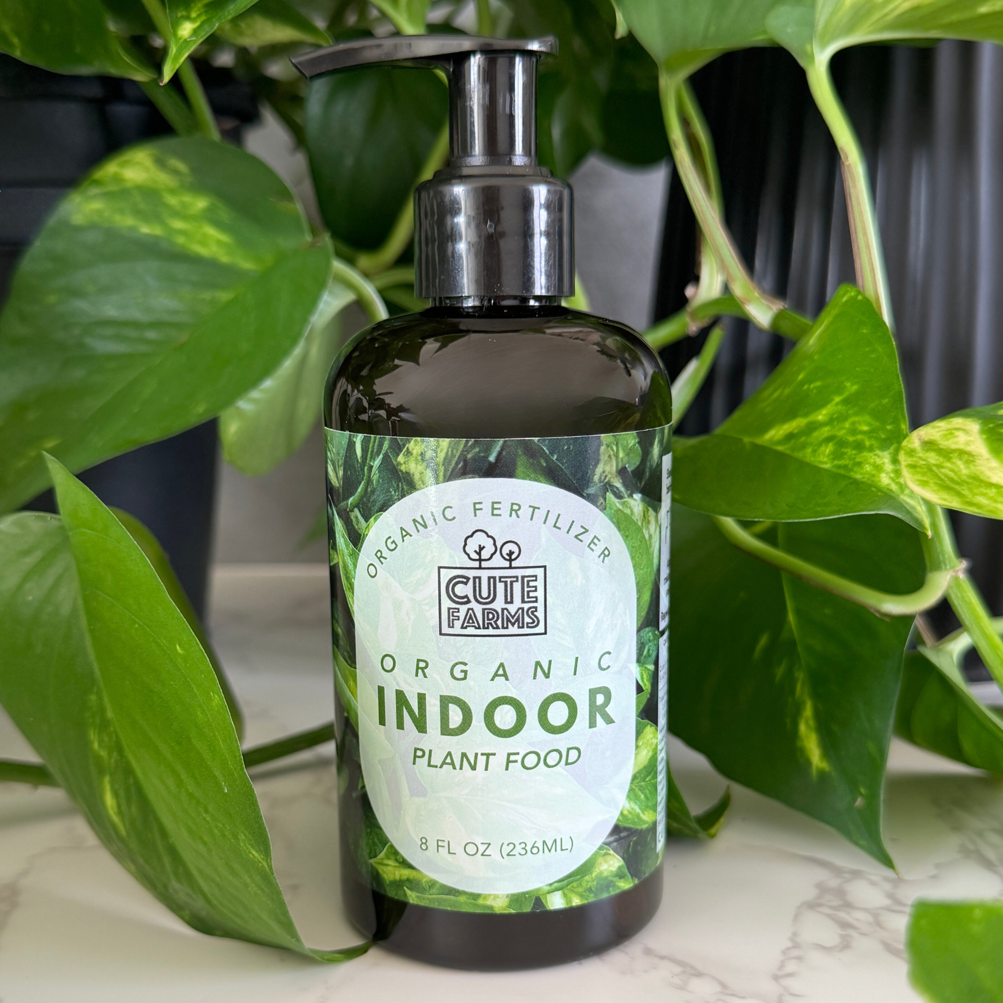 organic indoor plants Organic Indoor Plant Food – Premium Nutrients for Ferns, Pothos & More