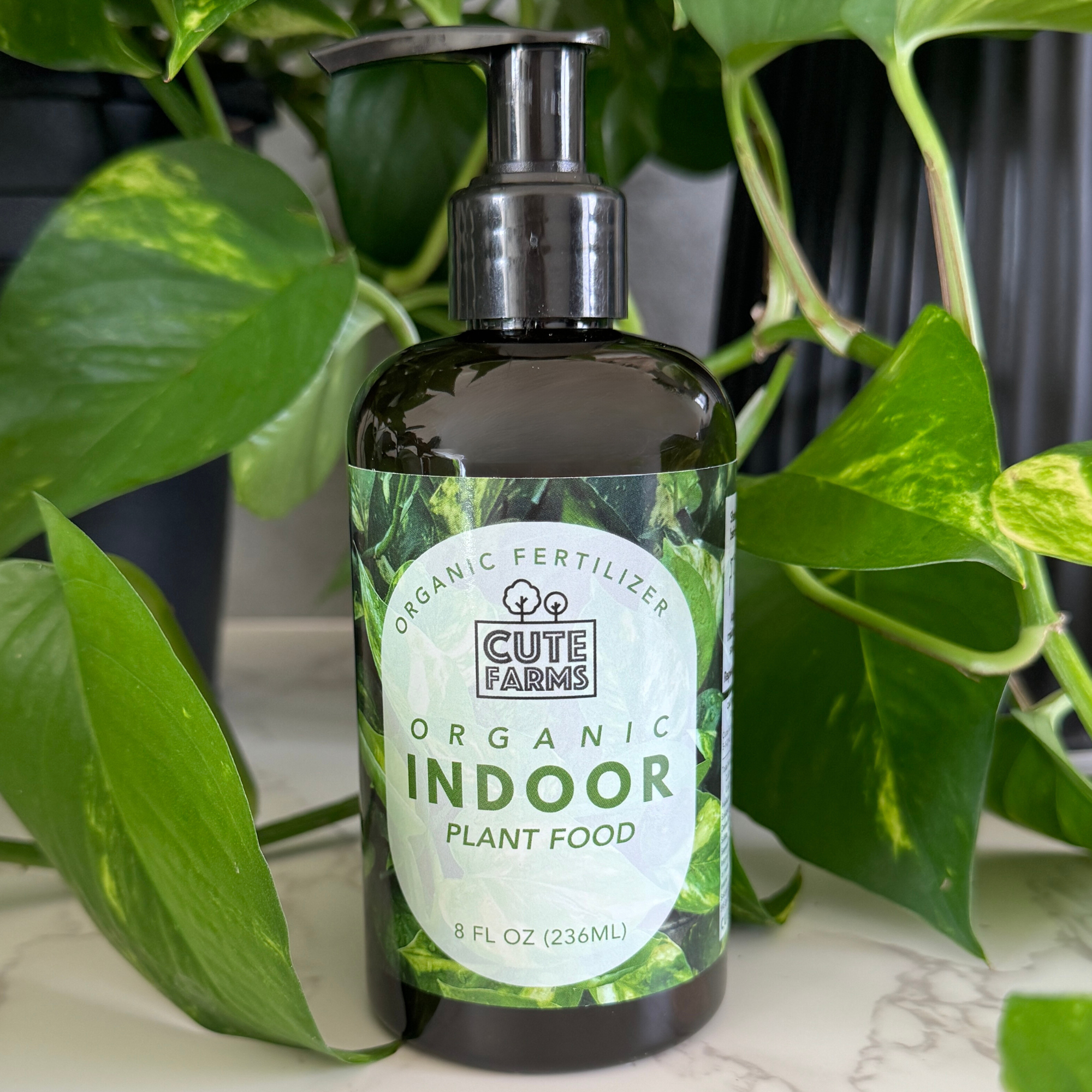 oil for indoor plants Ultimate Plant Care Kit