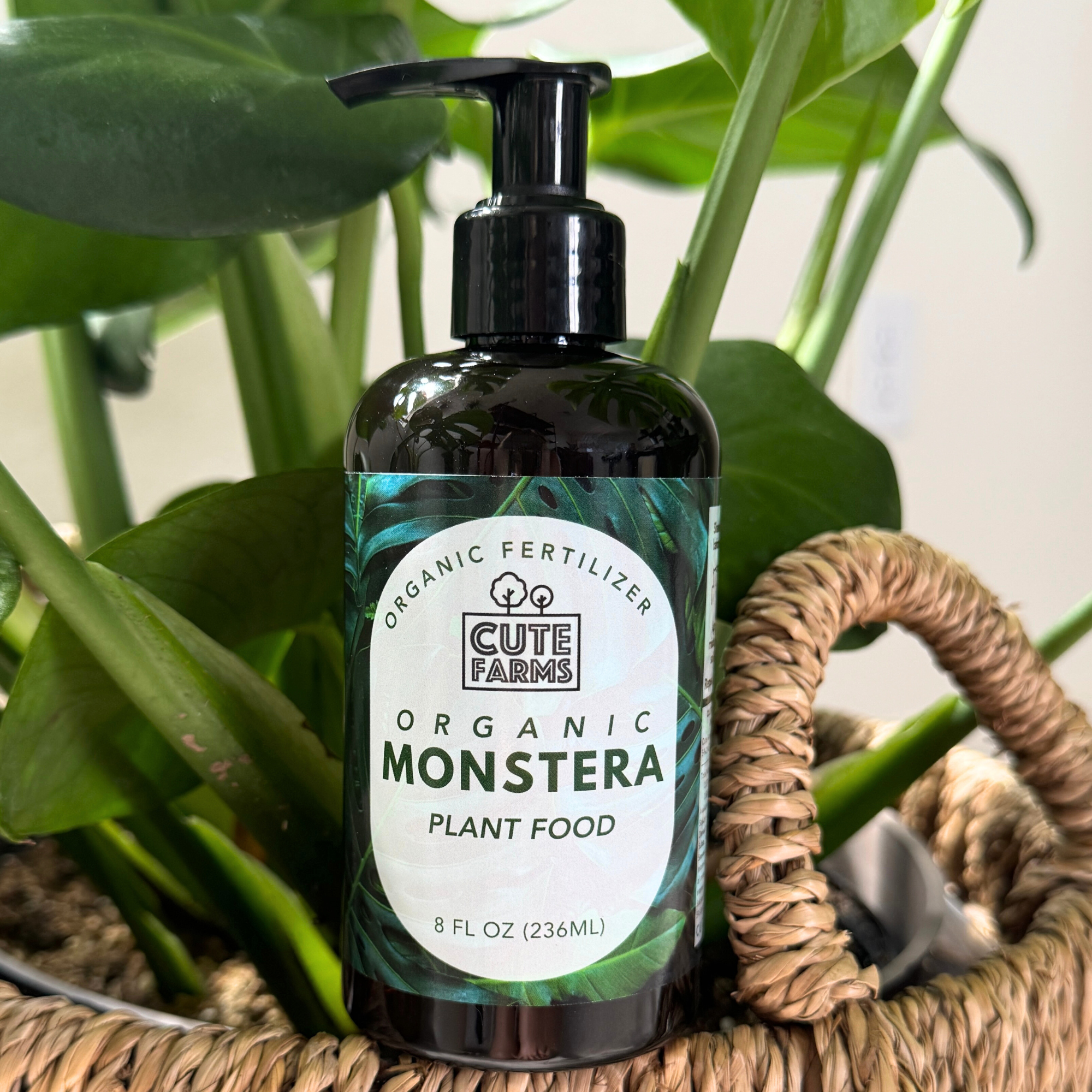 monstera plant food amazon Organic Monstera Plant Food