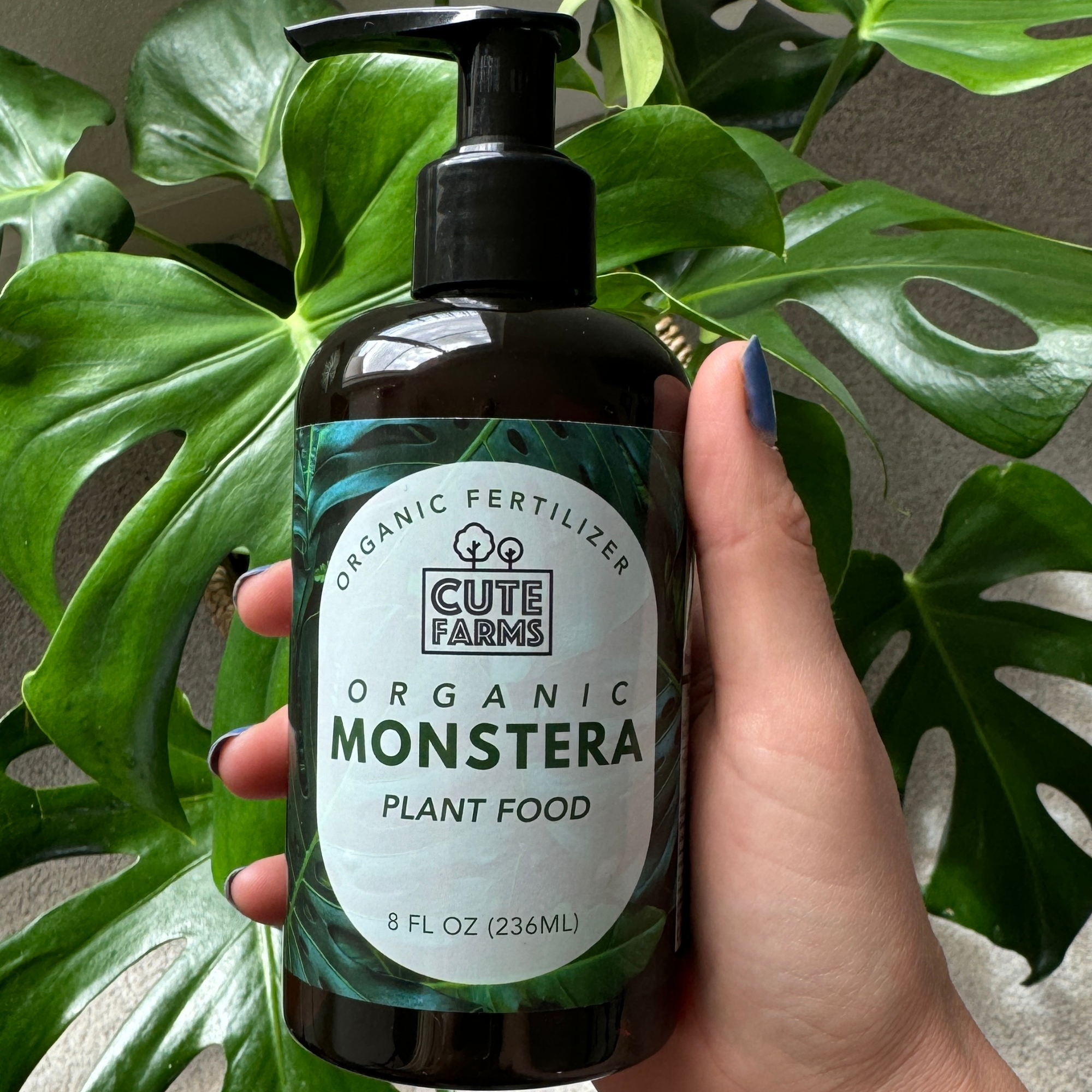 food for monstera plant Organic Monstera Plant Food