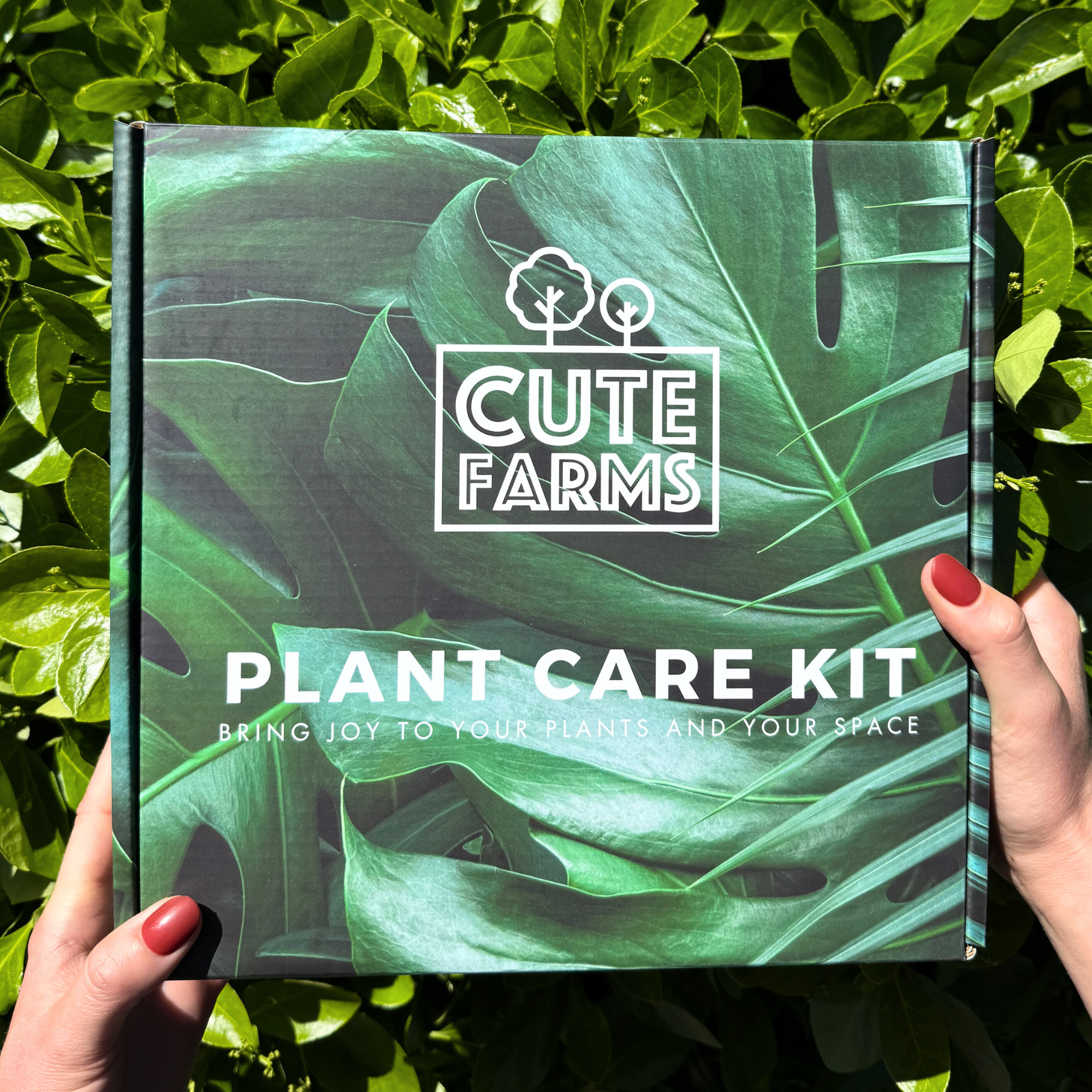 indoor plant care kit Premium Plant Care Kit – All-in-One Gift for Indoor Plant Lovers