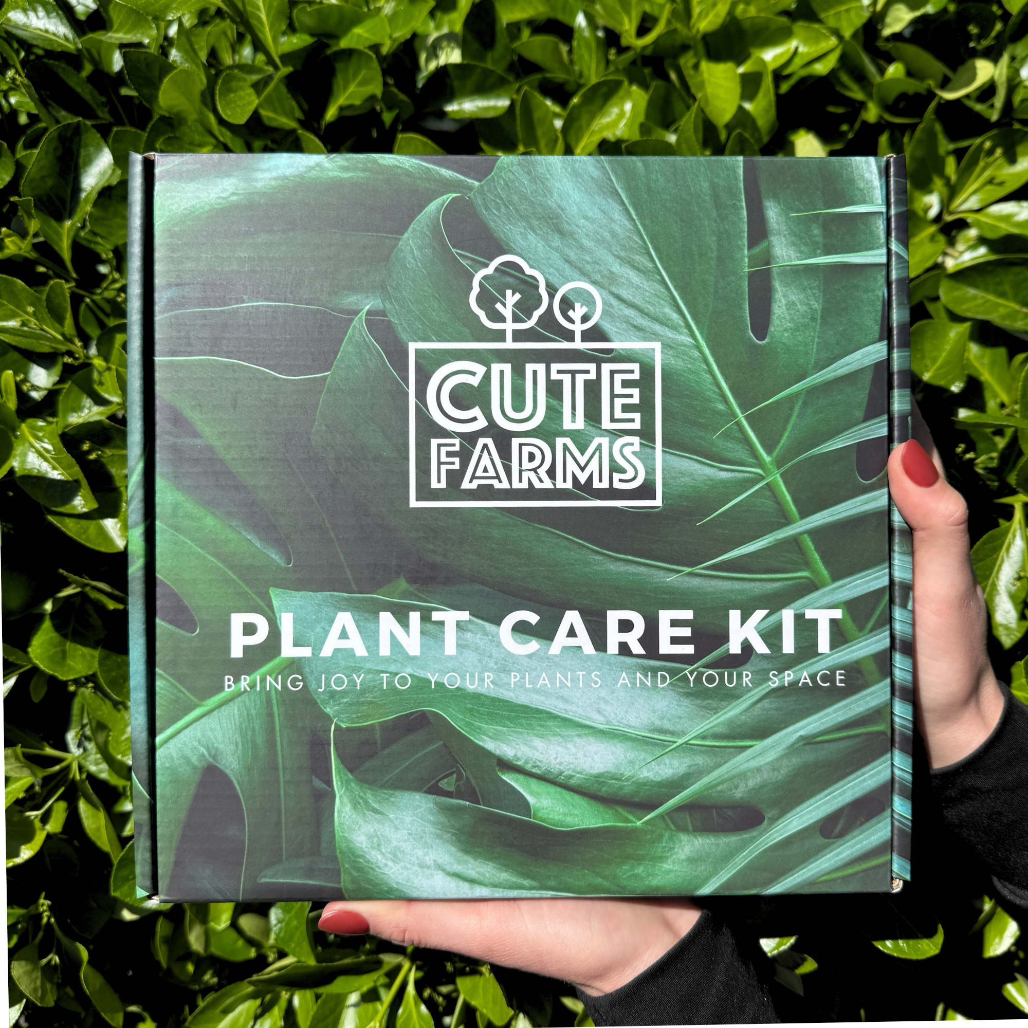 Indoor Grow & Care Plant Kit