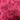 Reindeer Moss - Pink