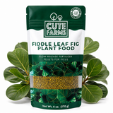 Fiddle Leaf Fig Slow Release Plant Food
