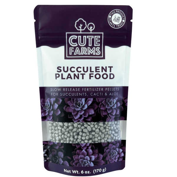 vitamins for succulents Premium Slow Release Succulent Plant Food