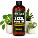 Soil Booster For Houseplants
