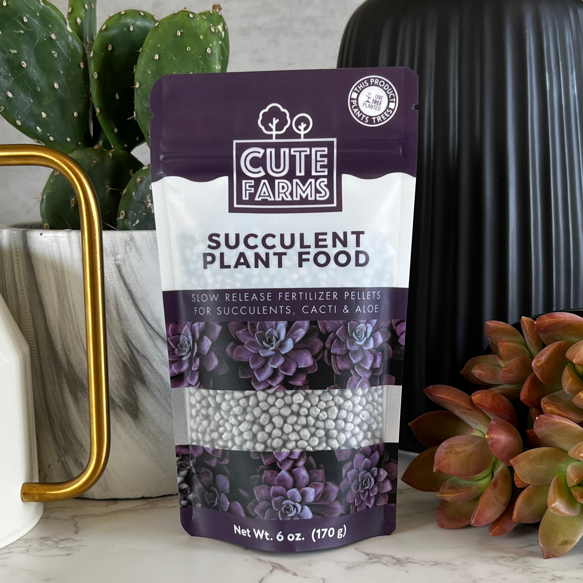 succulent food Premium Slow Release Succulent Plant Food