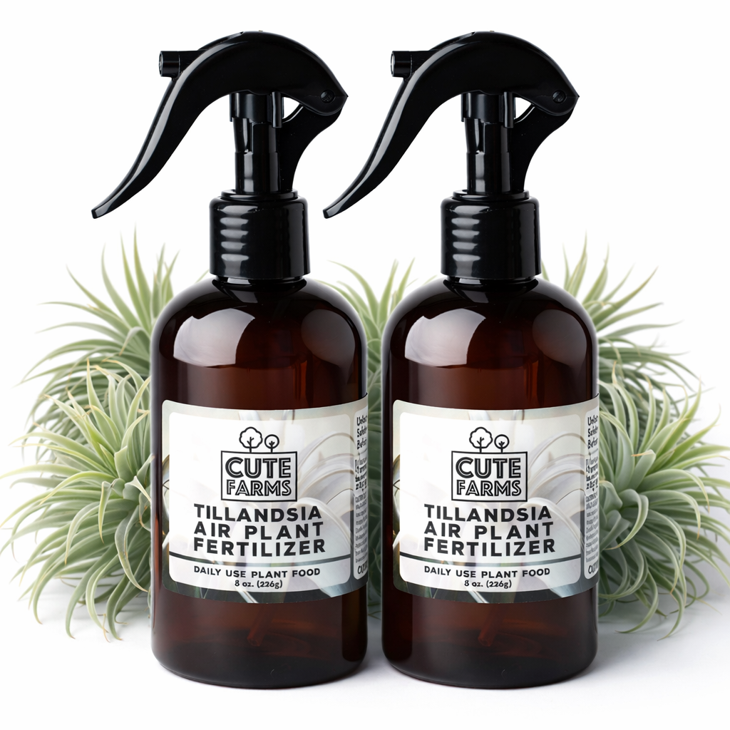 best air plant fertilizer Tillandsia Air Plant Fertilizer - Daily Use TWO