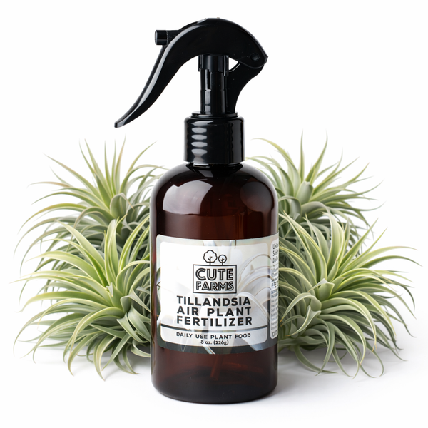 air plant spray fertilizer Tillandsia Air Plant Fertilizer