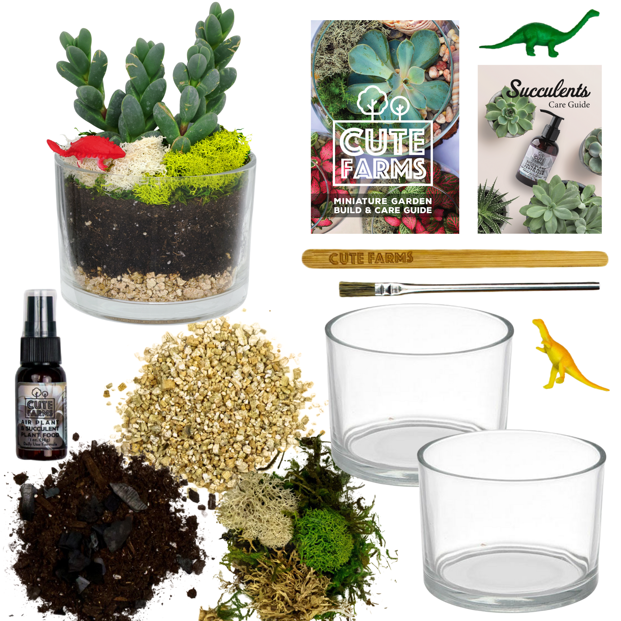 Cute Farms Two Glass Cylinder DIY Terrarium Kit