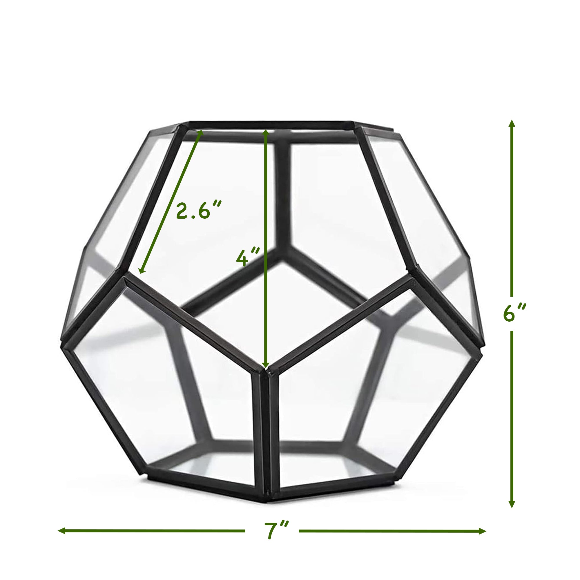 Geometric Terrarium Glass