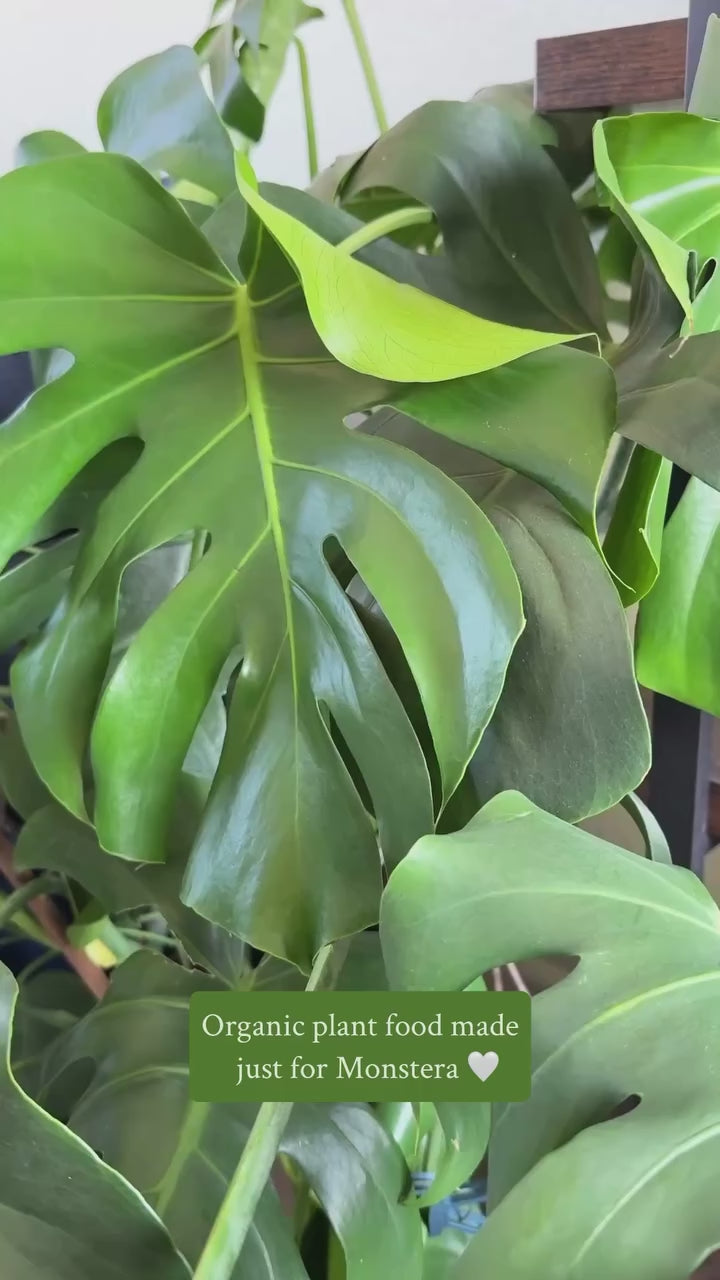 Organic Monstera Plant Food – Cute Farms