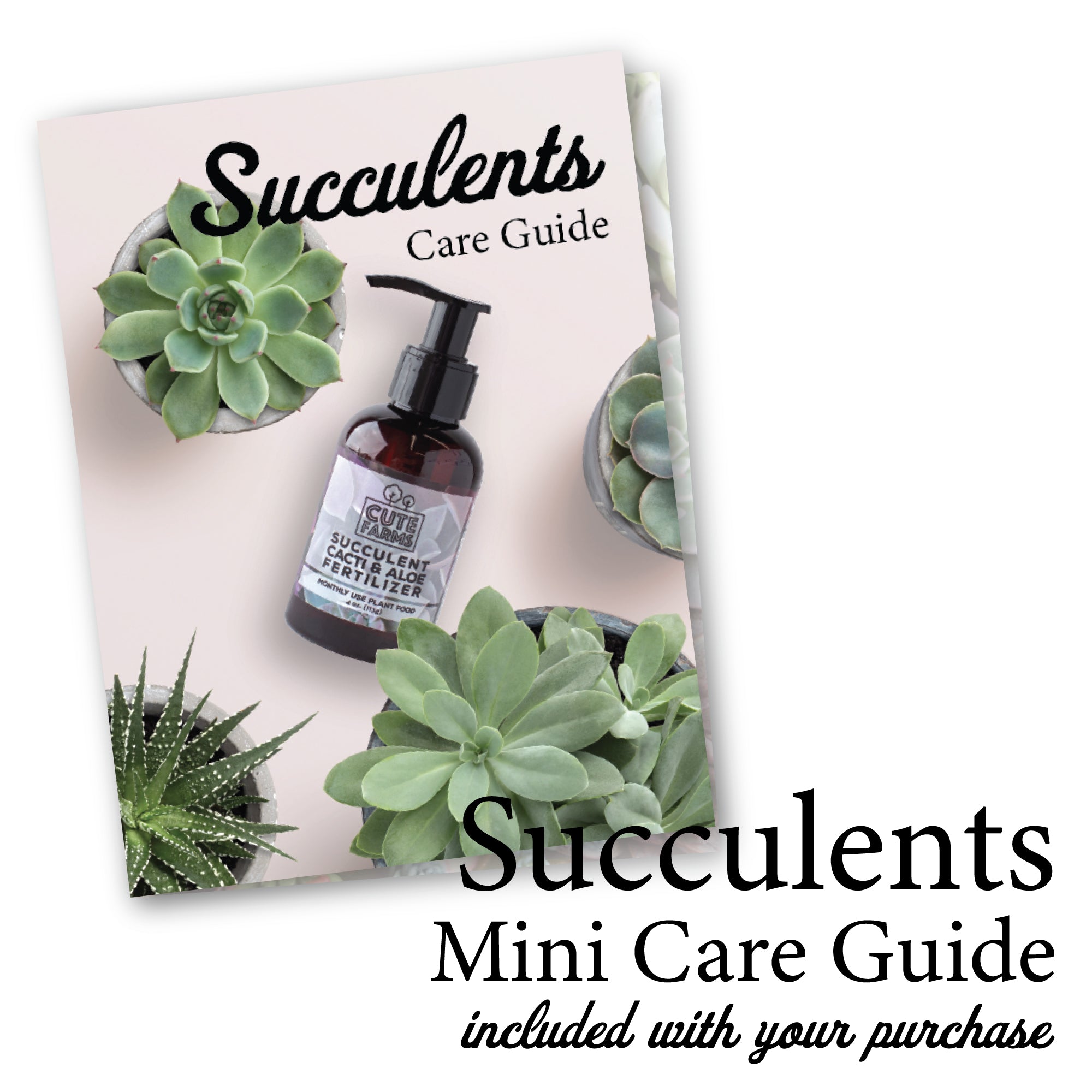 succulent spray fertilizer Cute Farms Succulent, Cacti, & Aloe Fertilizer