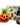 Pumpkin Air Plant and Succulent Holder - Cute Farms