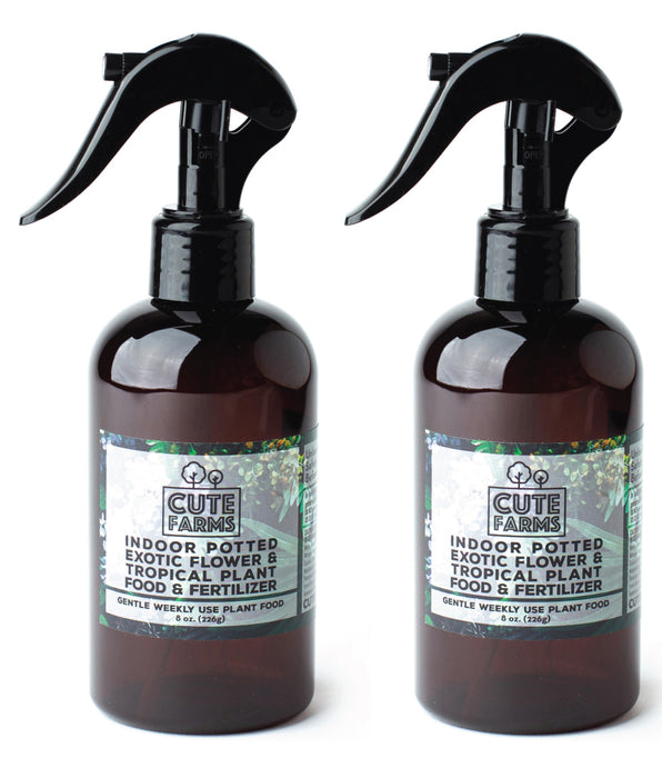 Best Plant Food & Terrarium Kits Cute Farms