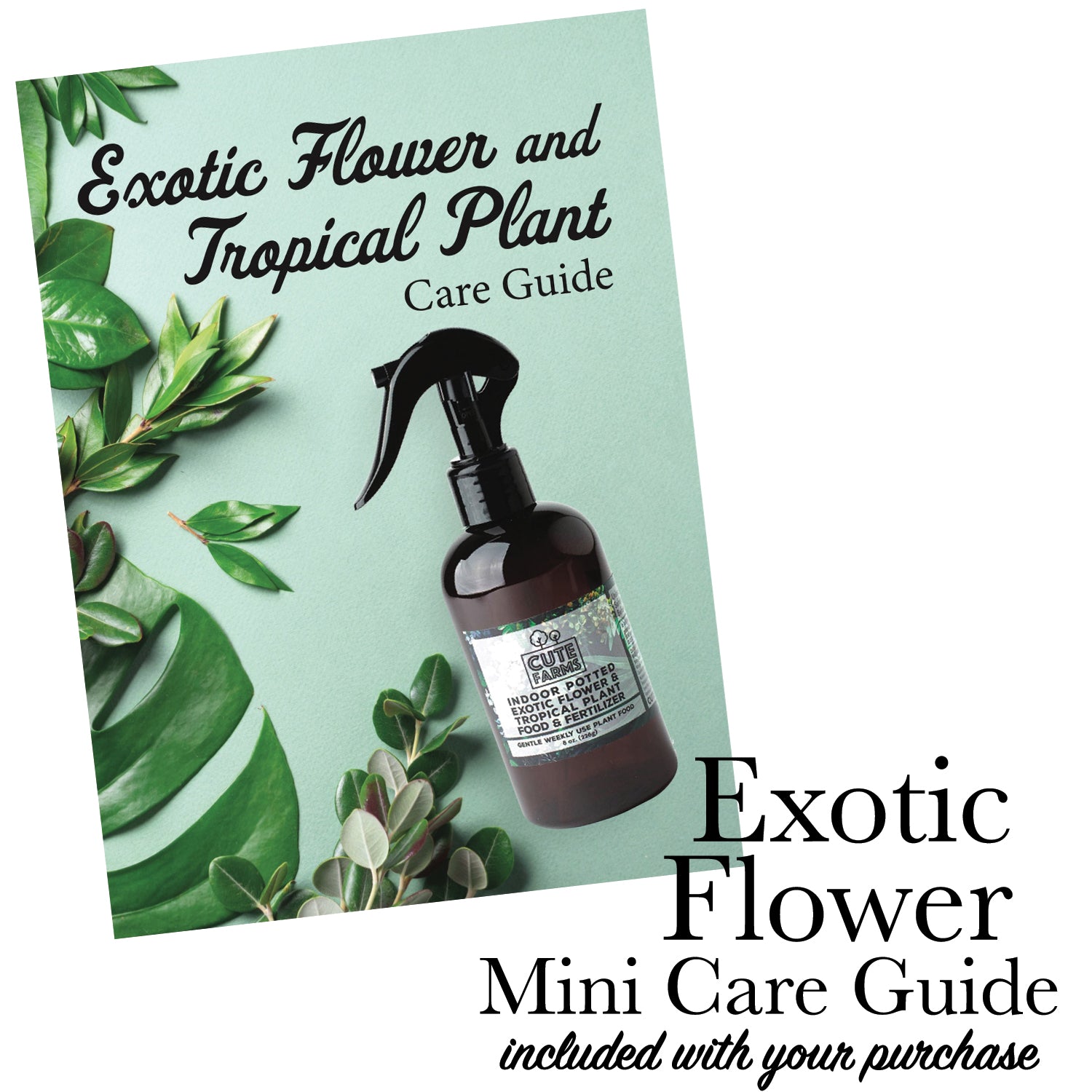 indoor plant fertilizer spray Indoor Potted Exotic Flower & Tropical Plant Fertilizer 8 oz